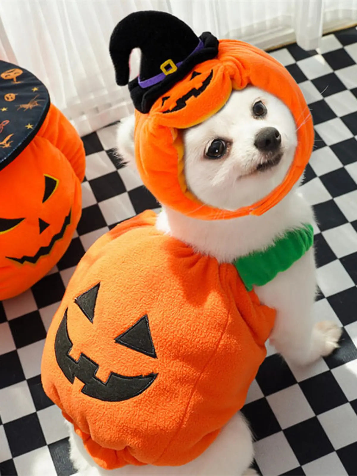Funny Two‑Legged Pet Costume|Halloween & Christmas Dog Cat Outfit