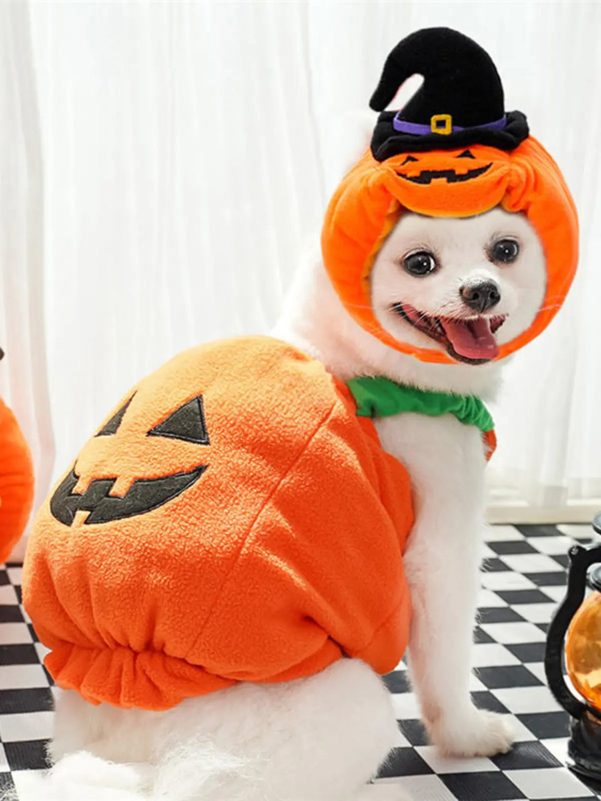 Funny Two‑Legged Pet Costume|Halloween & Christmas Dog Cat Outfit