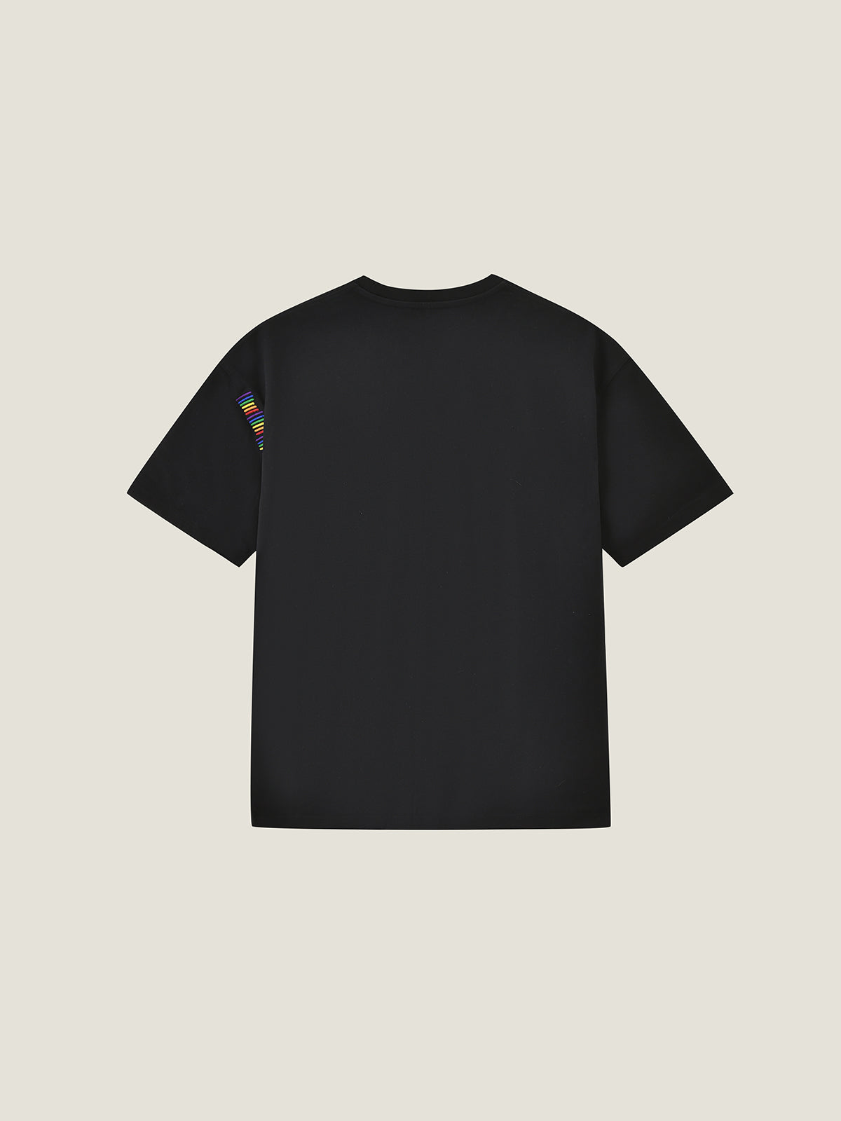 Pride Month Rainbow Embroidered Crew Neck T-Shirt For Adults