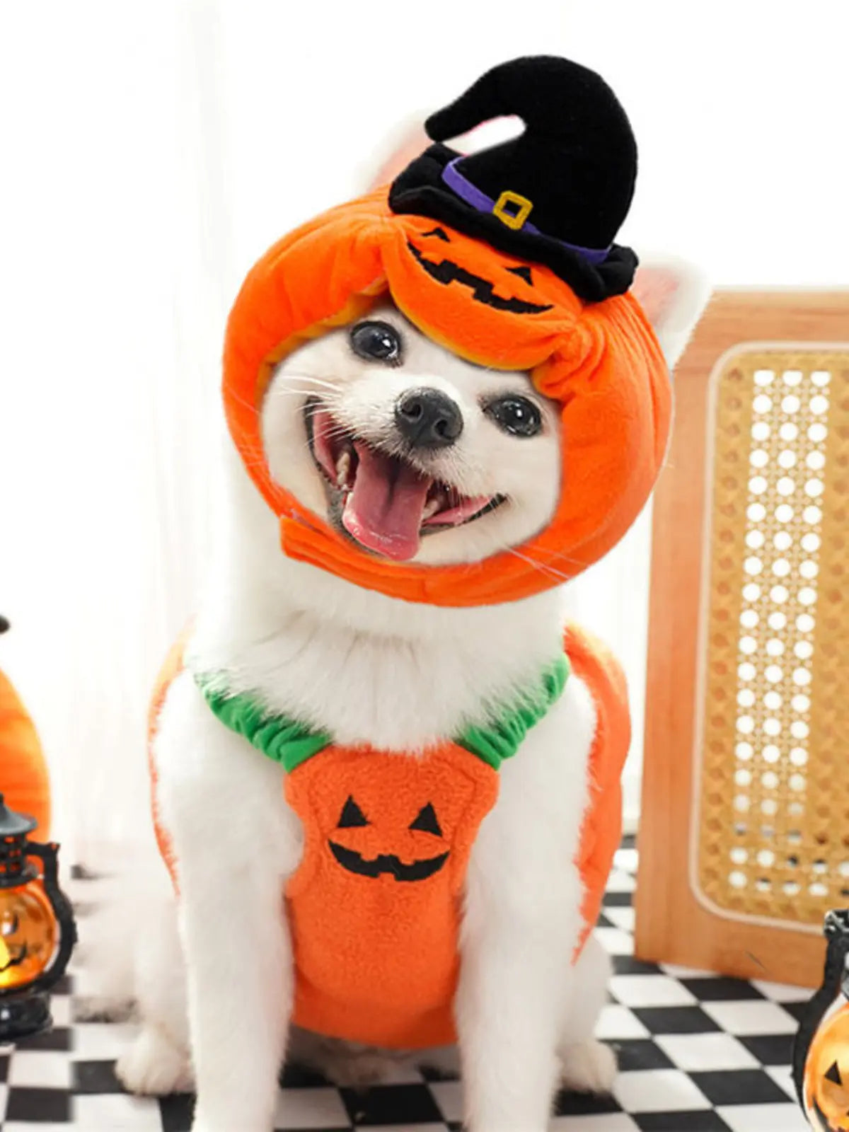Funny Two‑Legged Pet Costume｜Halloween & Christmas Dog Cat Outfit