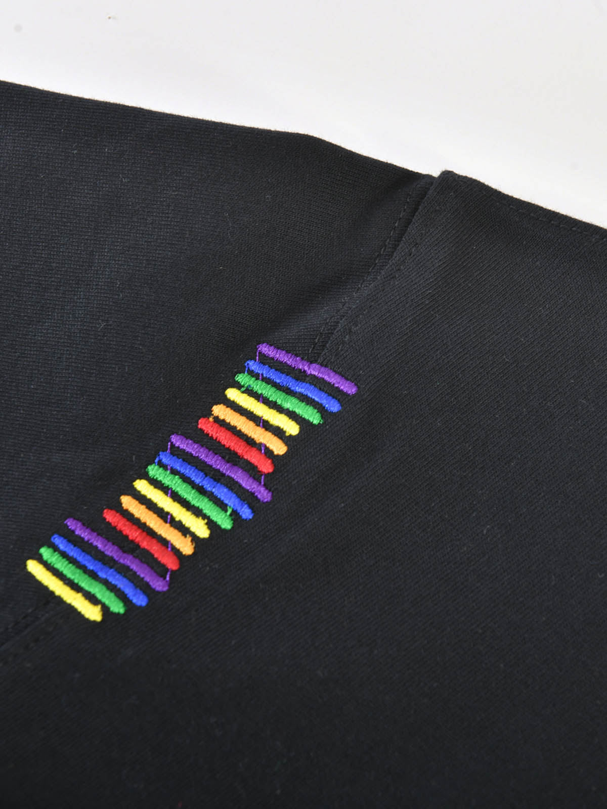 Pride Month Rainbow Embroidered Crew Neck T-Shirt For Adults