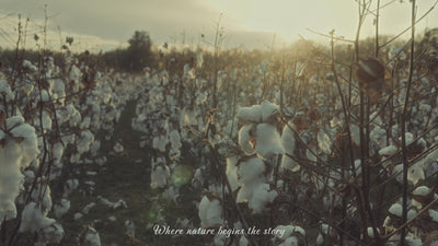 wearkins-banner-video15s